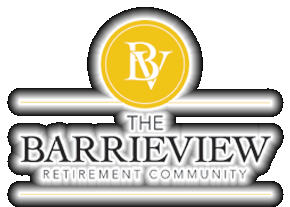 THE BARRIEVIEW Link
